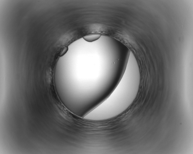 X0000087040413200704181220