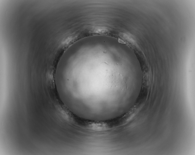 X0000087040415200704181220