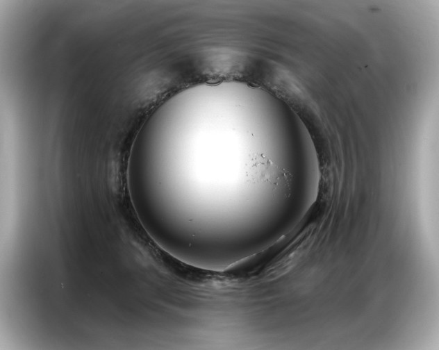 X0000087040416200704181220