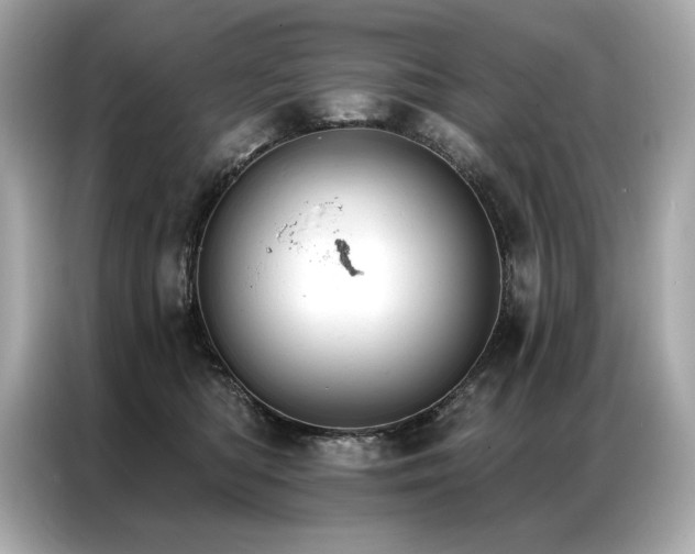 X0000087040422200704181220