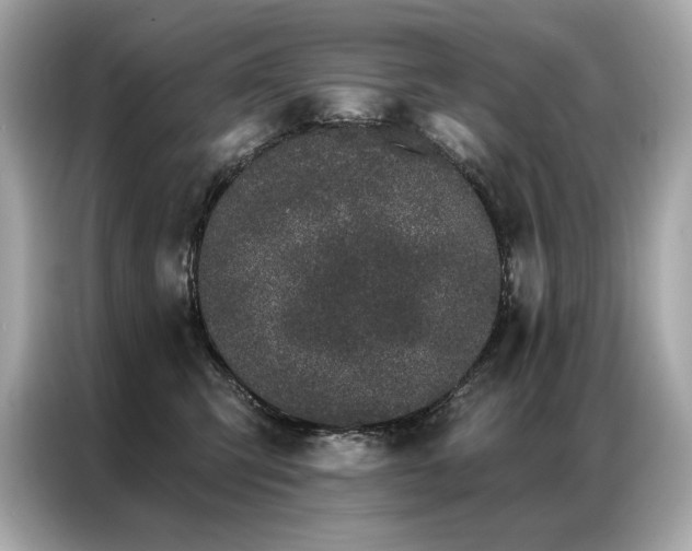 X0000087040423200704181220