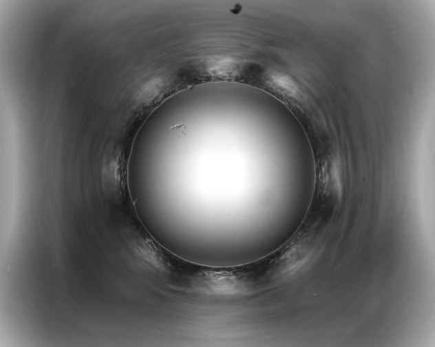 X0000087040424200704181220
