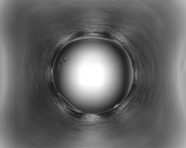 X0000087040429200704181219