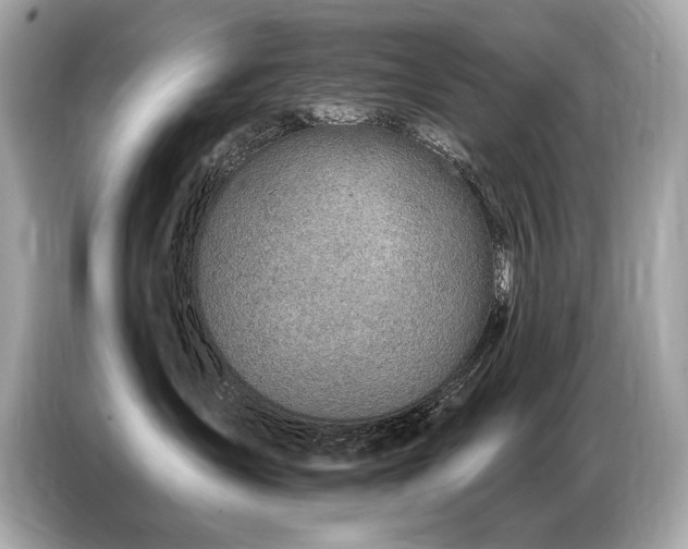 X0000087040431200704181219