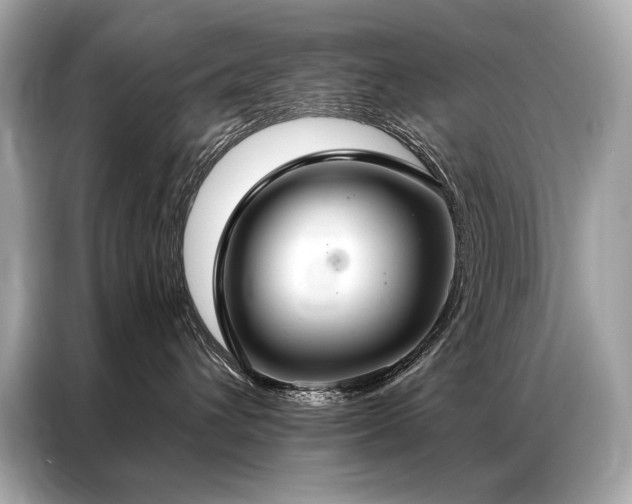 X0000087040432200704181219