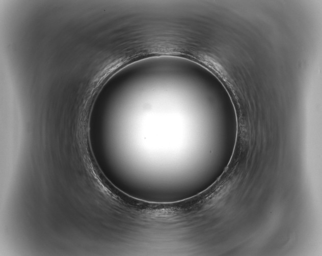 X0000087040433200704181219