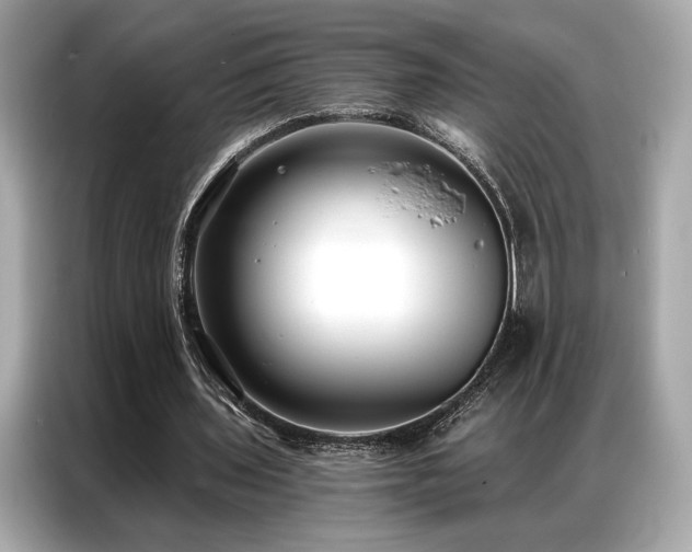 X0000087040435200704181219