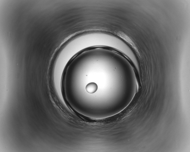 X0000087040436200704181219
