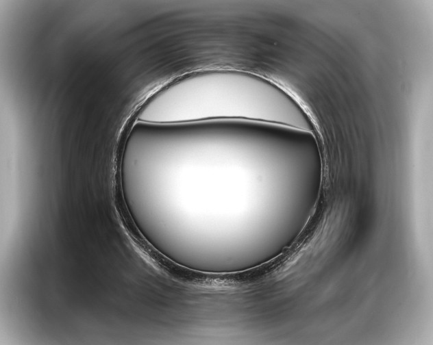 X0000087040437200704181219