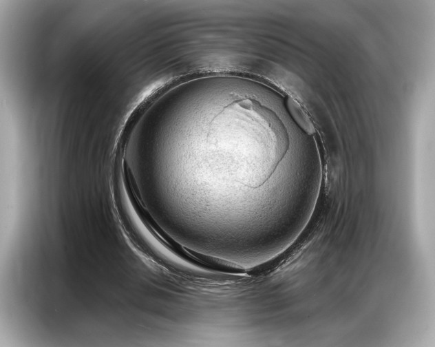 X0000087040438200704181219