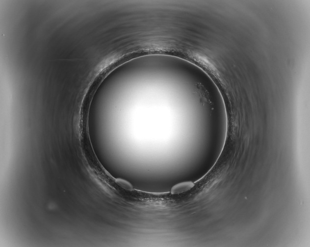 X0000087040439200704181219