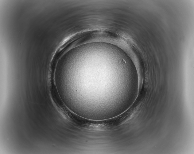 X0000087040440200704181219