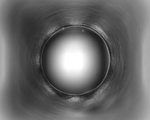 X0000087040441200704181219