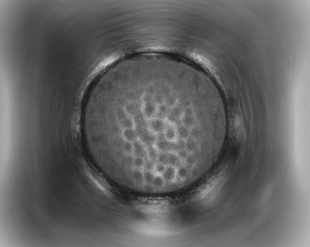 X0000087040443200704181219