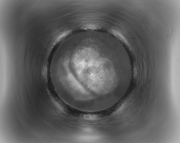 X0000087040444200704181219
