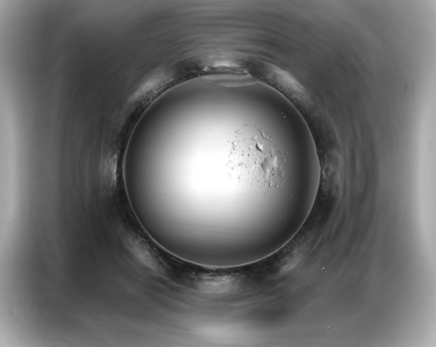 X0000087040454200704181219