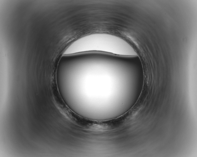 X0000087040455200704181219