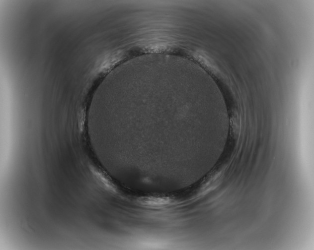 X0000087040458200704181219