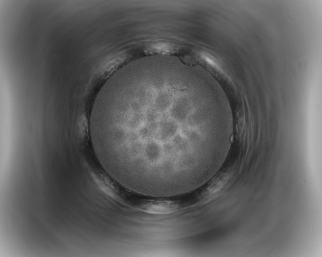 X0000087040459200704181219