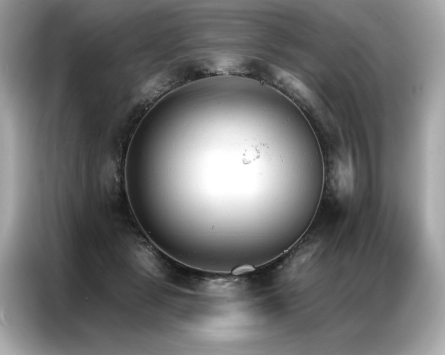 X0000087040461200704181219