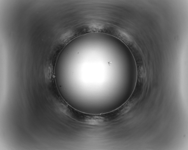 X0000087040463200704181219