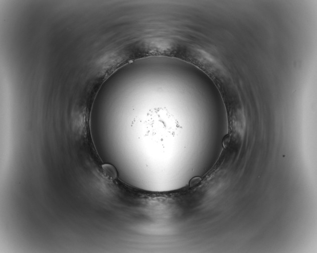 X0000087040468200704181219