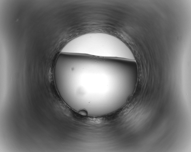 X0000087040469200704181219