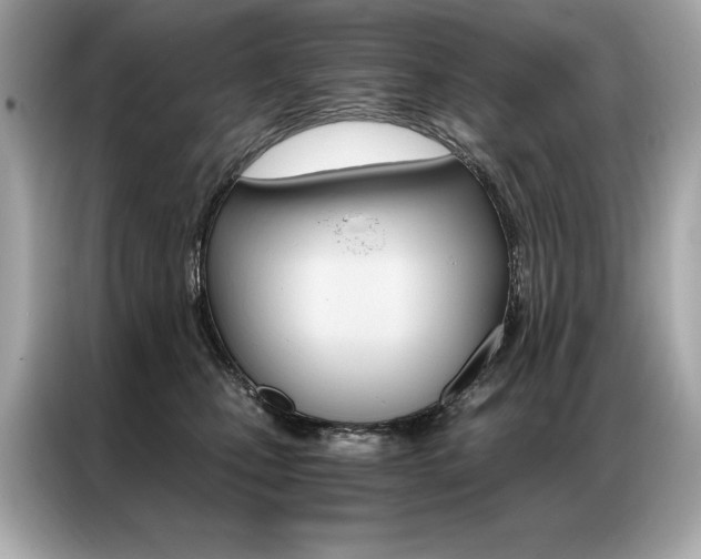 X0000087040471200704181219
