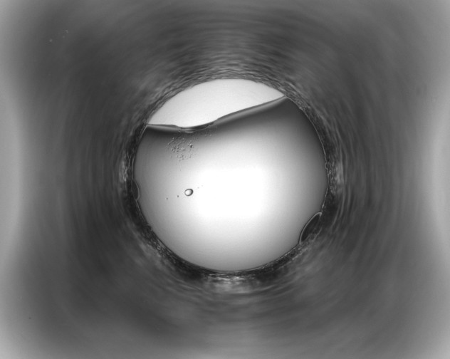 X0000087040472200704181219