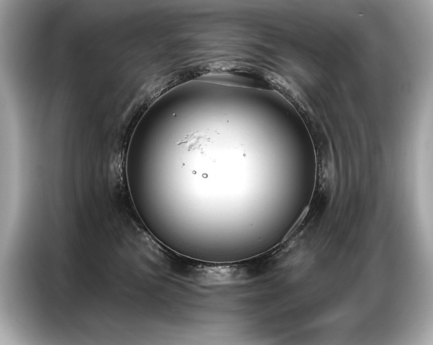 X0000087040473200704181219
