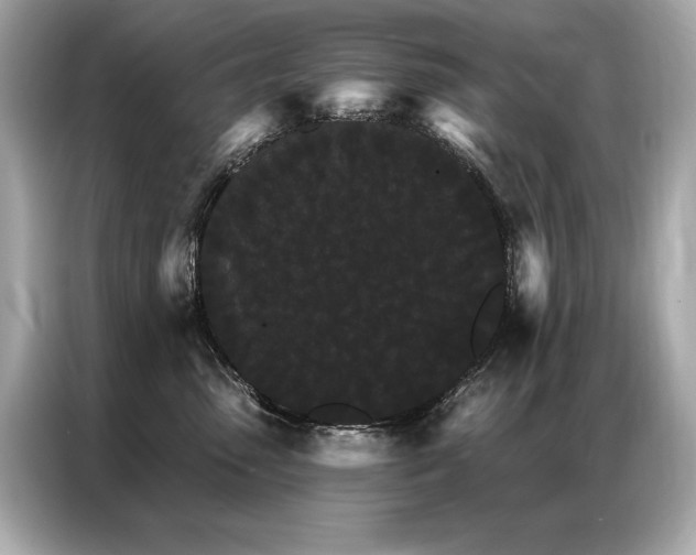 X0000087040475200704181219