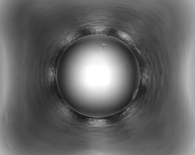 X0000087040476200704181219