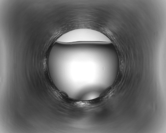 X0000087040477200704181219