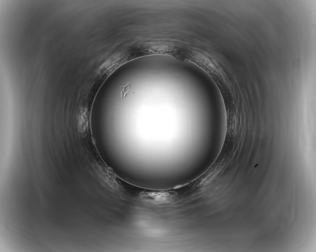 X0000087040478200704181219