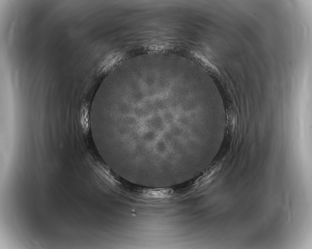 X0000087040479200704181219