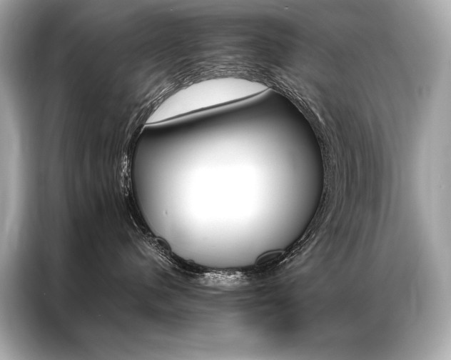 X0000087040480200704181219