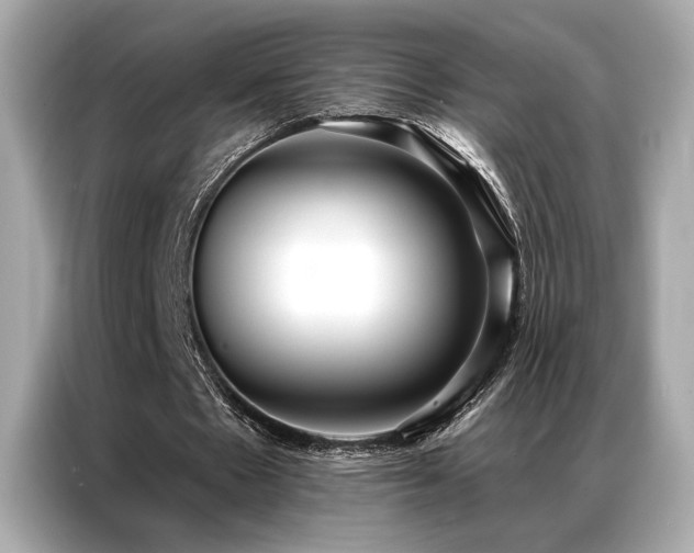 X0000087040481200704181219