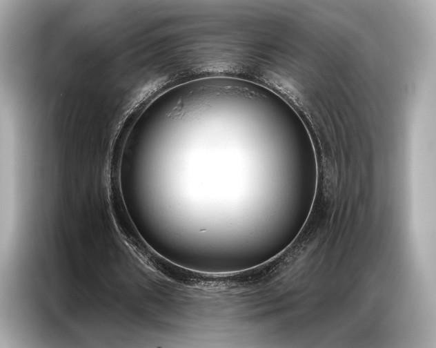 X0000087040482200704181219