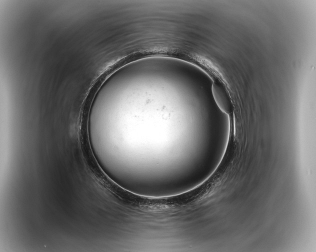 X0000087040483200704181219