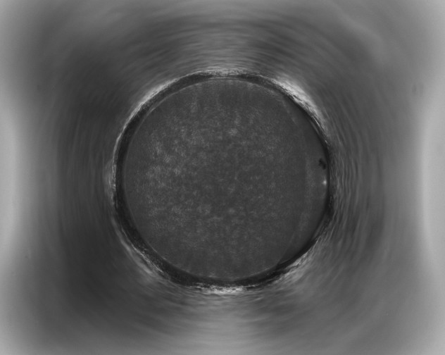 X0000087040484200704181219