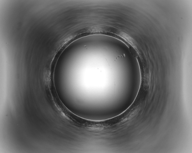X0000087040485200704181219