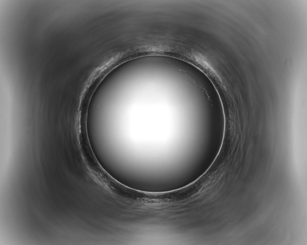 X0000087040486200704181219
