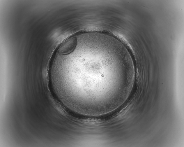 X0000087040487200704181219