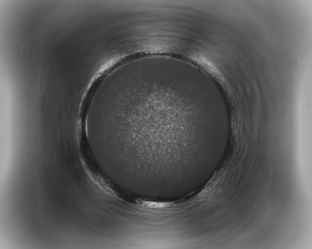 X0000087040488200704181219