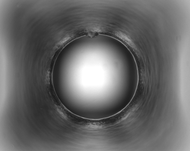 X0000087040489200704181219