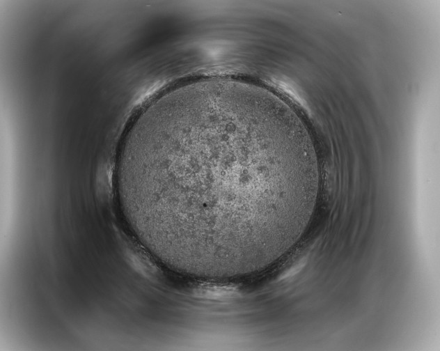 X0000087040491200704181219