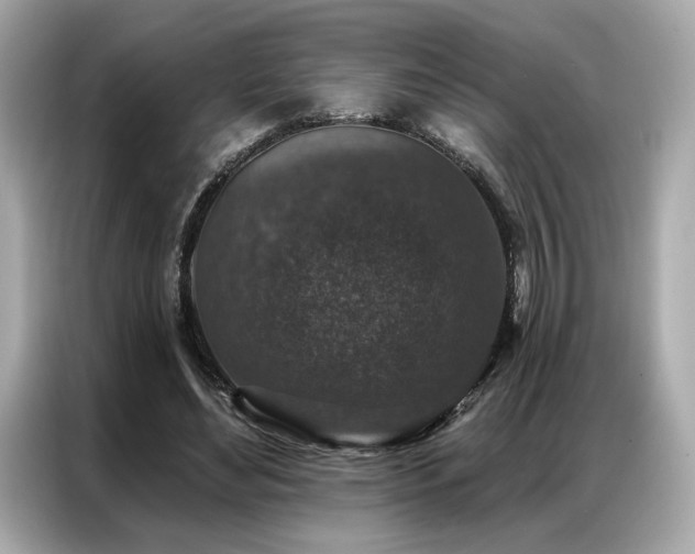 X0000087040492200704181219