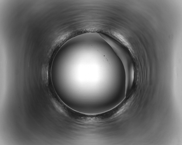 X0000087040493200704181219