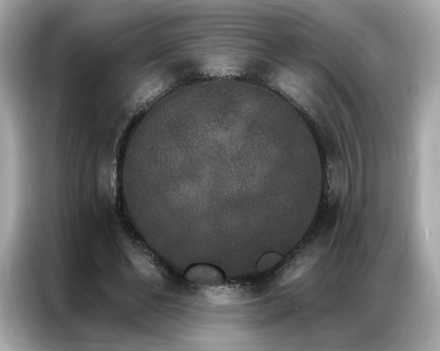 X0000087040494200704181219