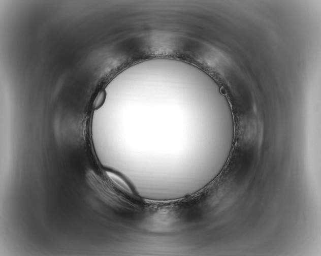 X0000087040495200704181219